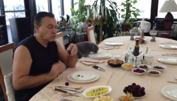 Araz Ağalarov pişiyi ilə səhər yeməyi yedi - VİDEO