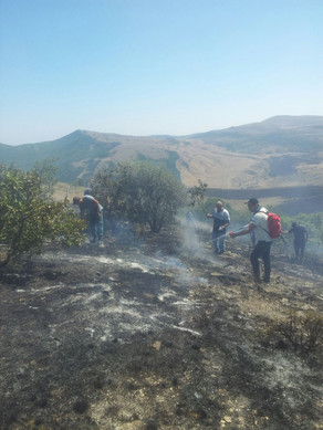 Qızılağac Dövlət Təbiət Qoruğunda 3 hektar ərazi yanıb