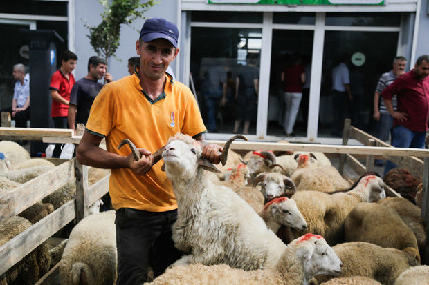 Bakıda Qurban bayramı keçirilir – FOTOREPORTAJ