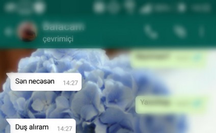 Azərbaycanda rekord qıran 