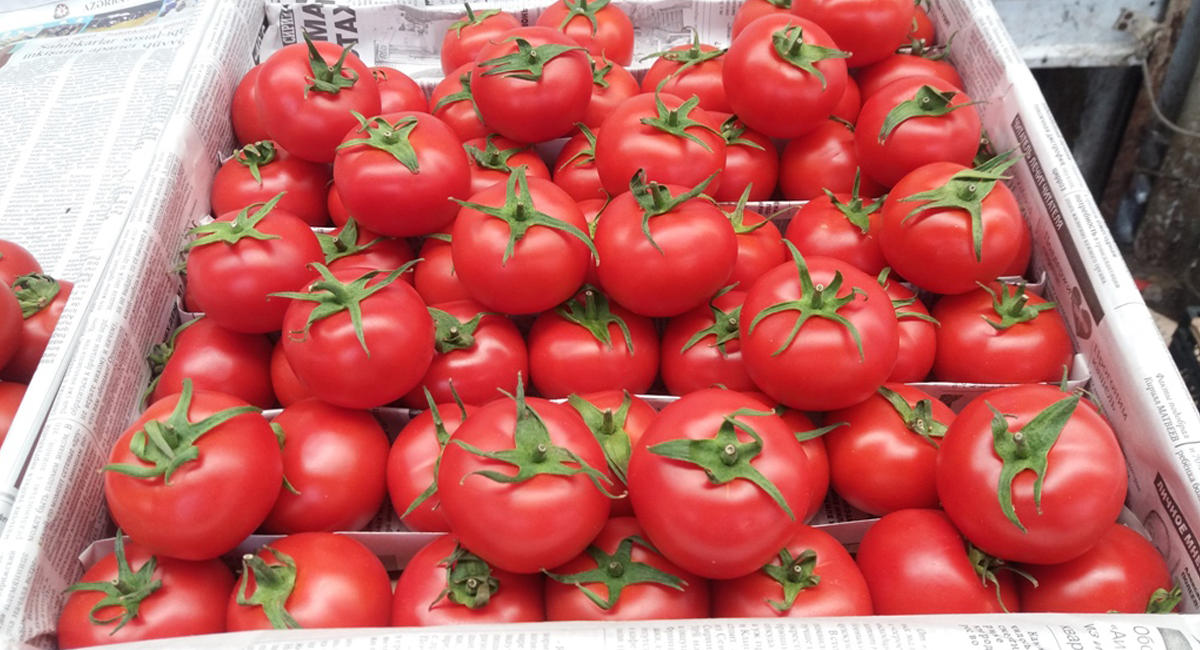 Россия вернула азербайджанские помидоры