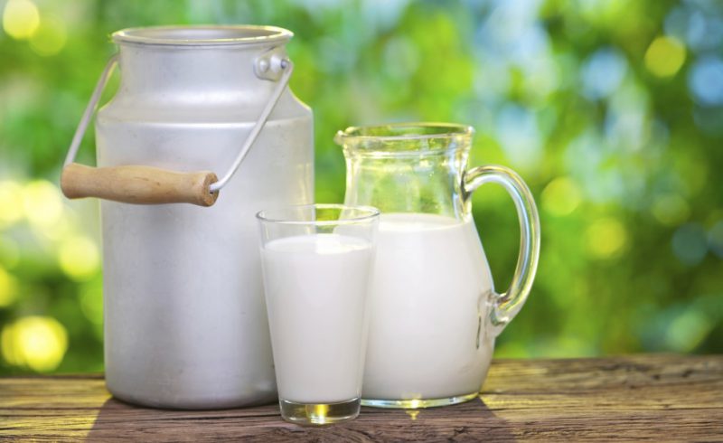 В Азербайджане предлагается выдавать субсидии производителям молока