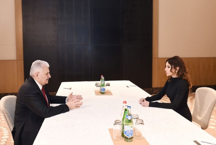 Состоялась встреча Мехрибан Алиевой с премьер-министром Турции