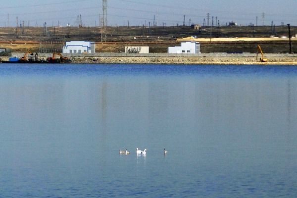 Создатели искусственных озер оштрафованы на 85 тысяч манатов