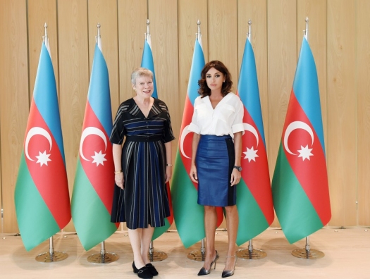 Замгенсека НАТО на встрече с Мехрибан Алиевой