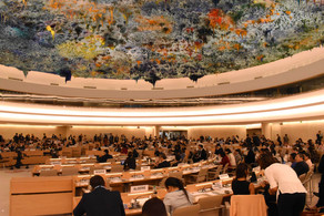 Совет по правам человека ООН единогласно принял отчет Азербайджана