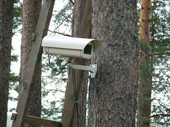 В лесах Азербайджана будут установлены камеры