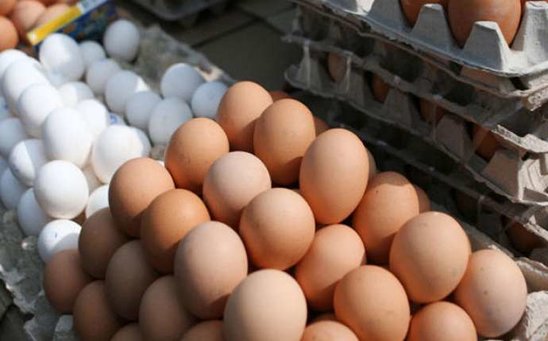 Azərbaycanda yumurta bahalaşdı