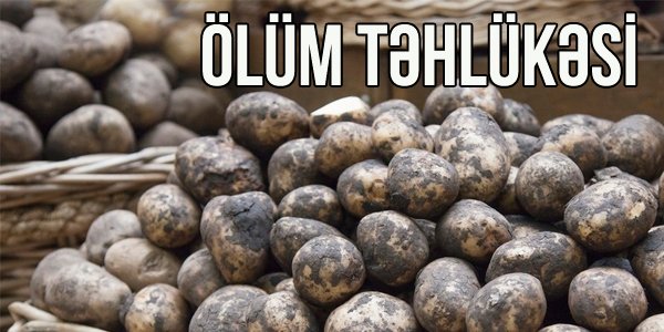 DİQQƏT! Bakıda erməni kartofları satılır - TƏHLÜKƏ