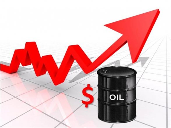 Цены на нефть начали расти