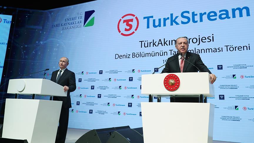 Эрдоган: Турция закупила у России 387 млрд кубометров газа