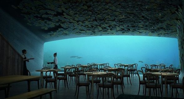 В Норвегии открылся подводный ресторан - ФОТО