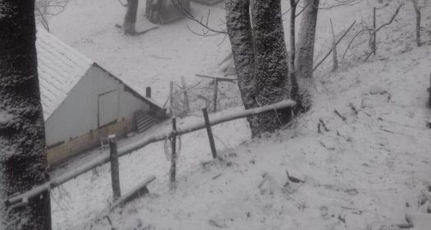В Гахском районе выпал снег - ФОТО