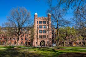 Yale revokes student's admission over '$1.2m bribe'