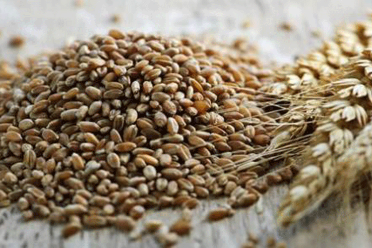 В Азербайджане производство и продажа пшеничной муки не будет облагаться налогом
