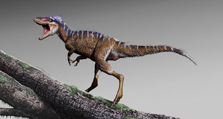 Палеонтологи открыли динозавра, постоянно ходившего на цыпочках