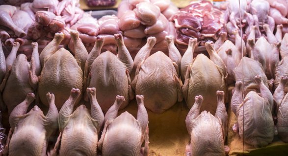 Армения запретила импорт российской курятины