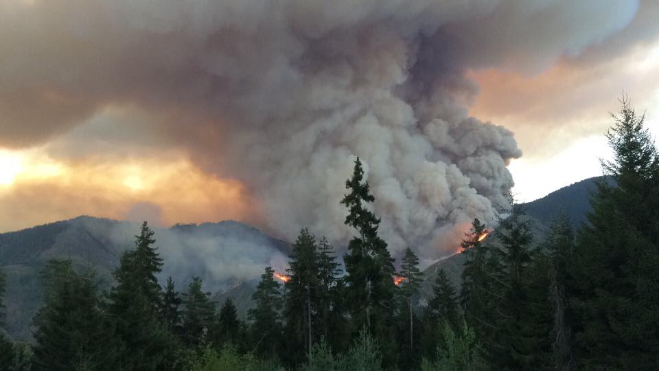В Боржомском ущелье в Грузии продолжается тушение лесного пожара