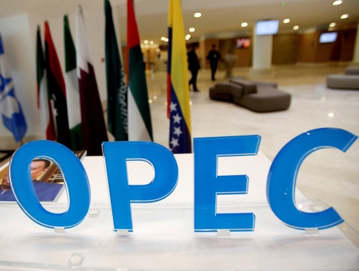 ОПЕК обсуждает сокращение нефти