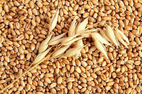Азербайджан в I квартале импортировал казахстанской пшеницы