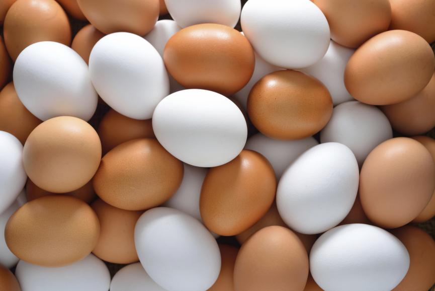 Производители куриных яиц в Азербайджане в 2018г понесли убытки почти