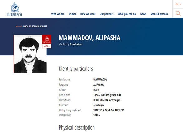 Интерпол объявил в розыск Алипашу Мамедова 
