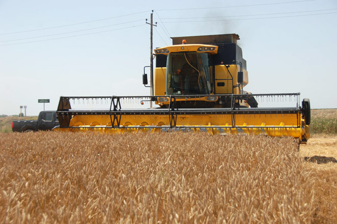 Output of agricultural products in Azerbaijan growing