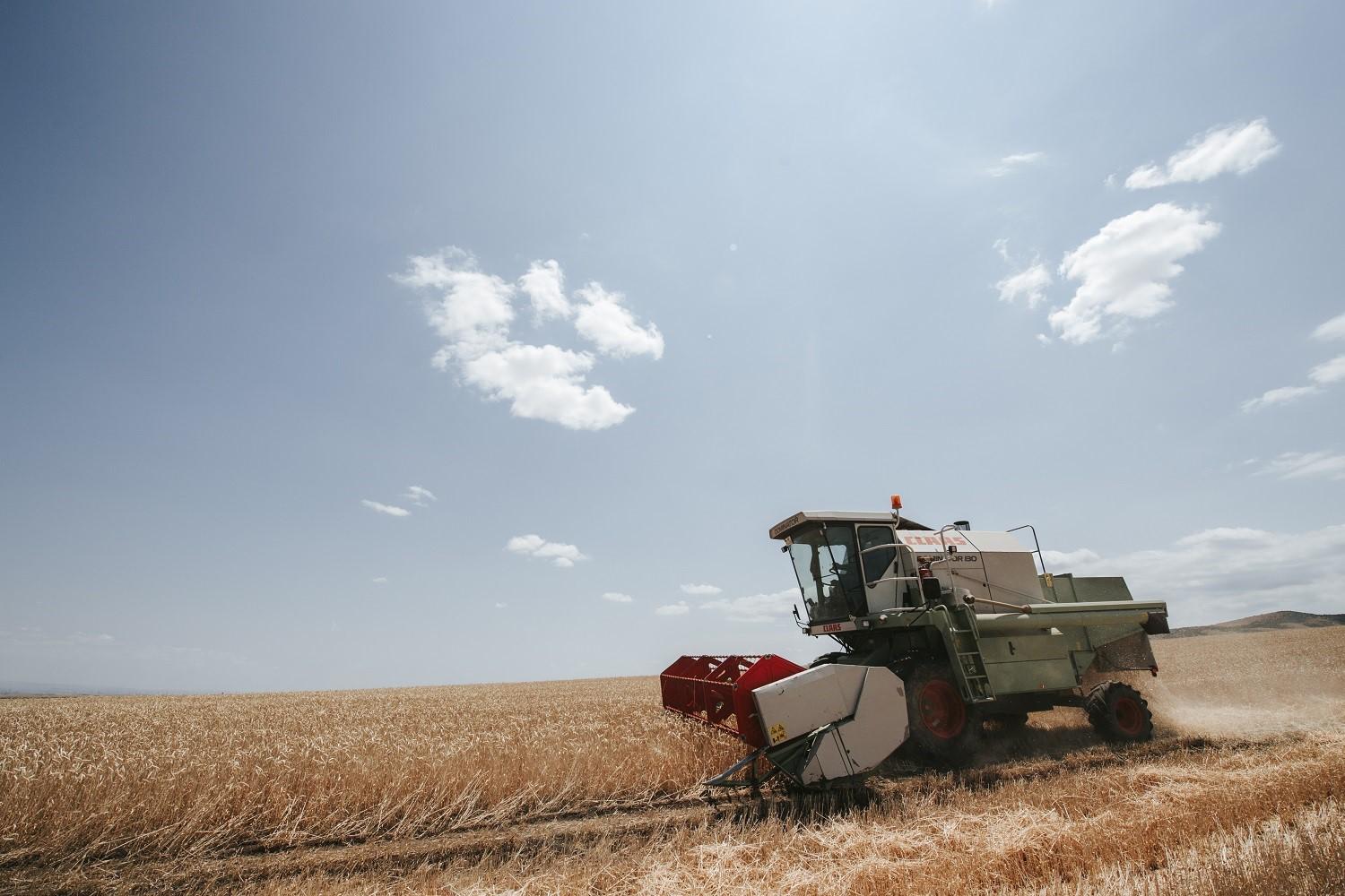 Grain harvesting continues in Azerbaijan