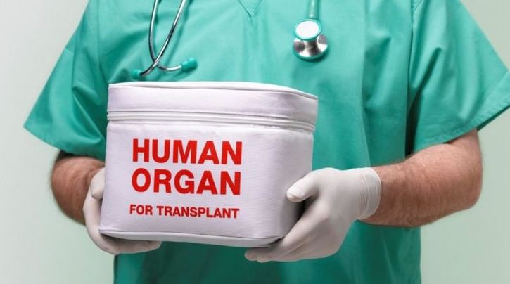 Заур Алиев: О искусственном оплодотворении и трансплантации органов