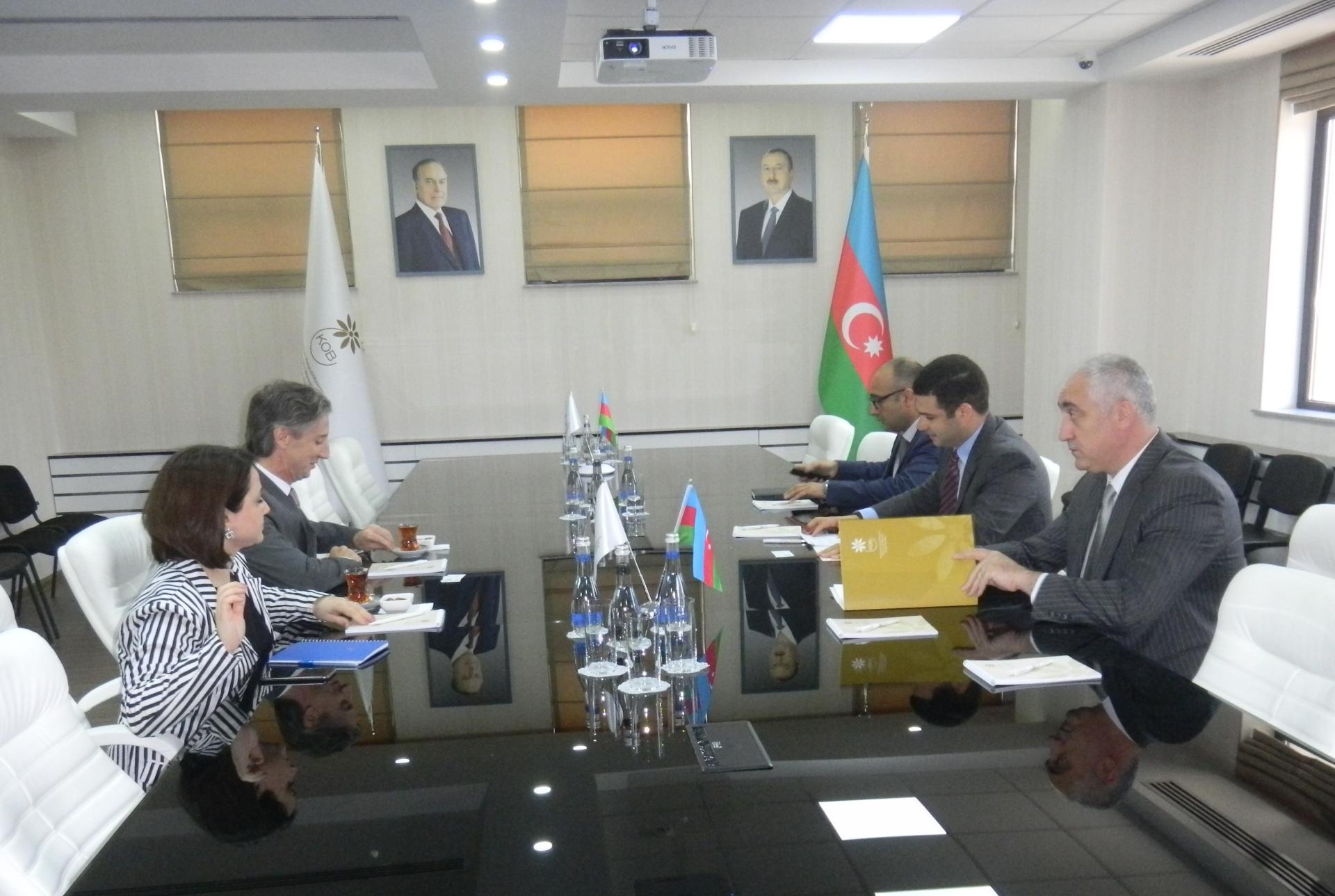 Azerbaijan’s SME Development Agency, UNDP discuss prospects for cooperation