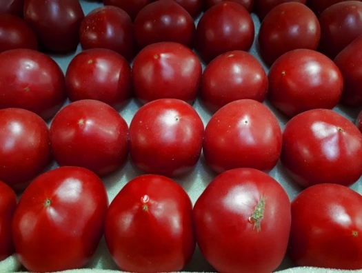 В Можайске задержали тонны томатов из Азербайджана