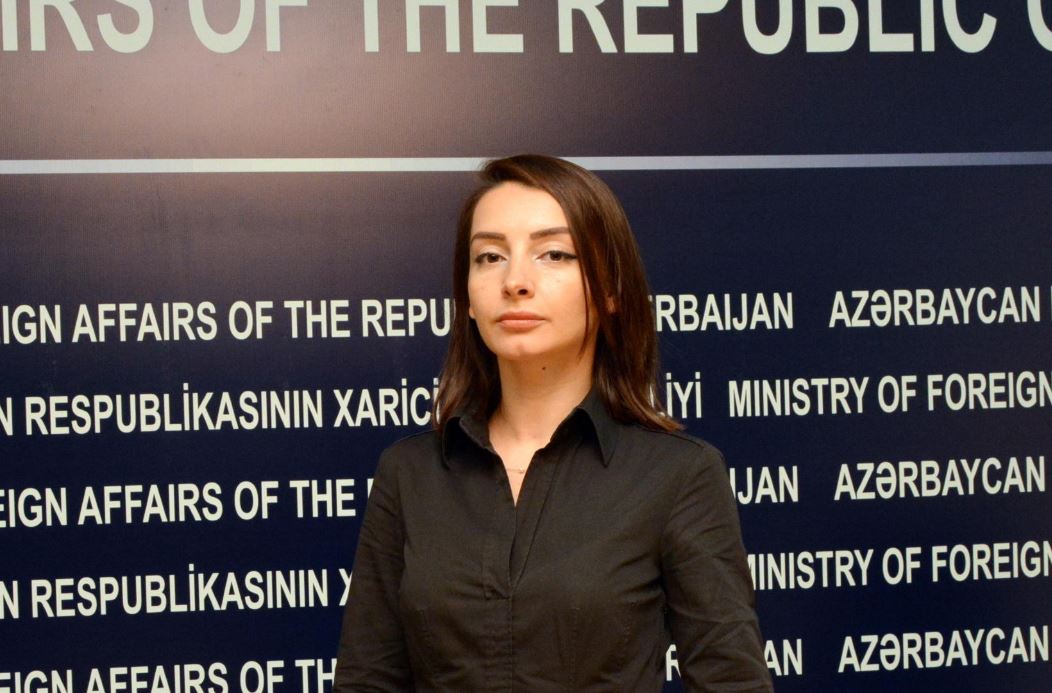 Позиция Азербайджана по вопросу Джамму и Кашмира последовательна