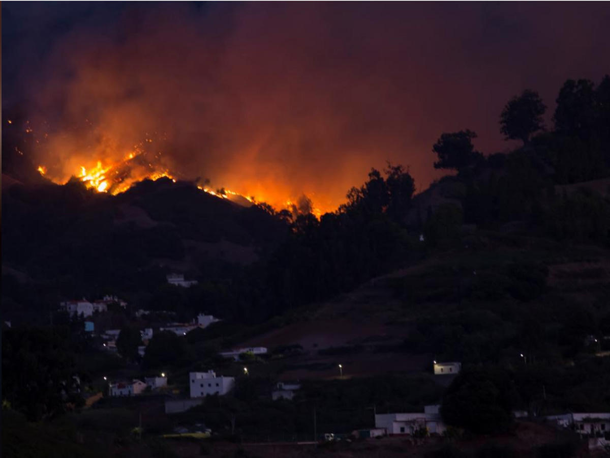 Evacuees fleeing Canary Islands wildfire rise to 8,000