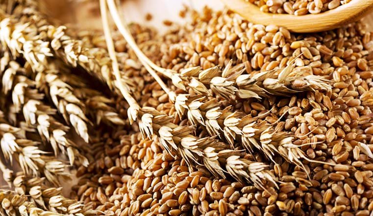 Азербайджан  купил у Казахстана около 225 тыс. тонн пшеницы