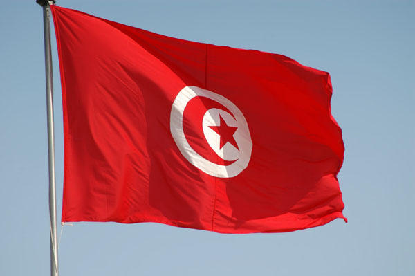 Tunisian PM delegates his powers to focus on presidential race