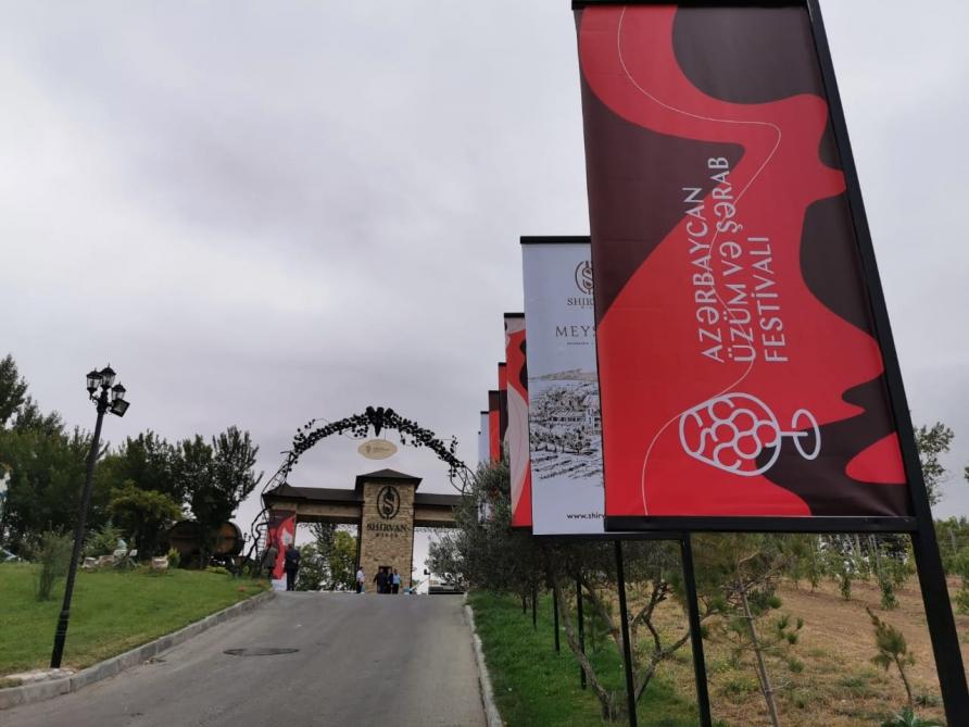 First-ever Grape and Wine Festival underway in Azerbaijan (PHOTO)