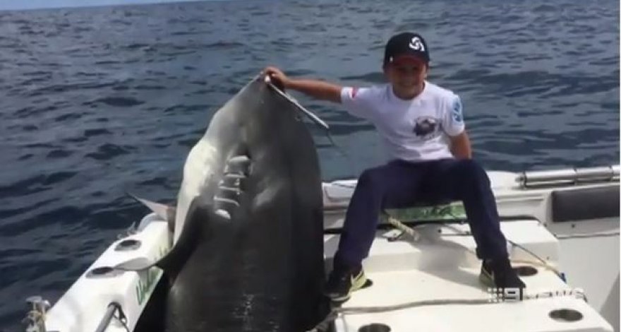 Восьмилетний мальчик поймал гигантскую акулу в Австралии - ФОТО/ВИДЕО