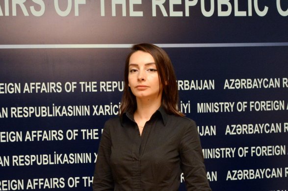 Официальный Баку ответил комиссару Совета Европы по правам человека