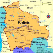 Новым председателем Сената Боливии стала представитель партии подавшего в отставку президента Моралеса