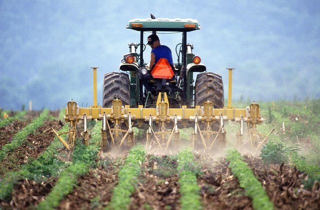 Аграрный сектор Азербайджана вырос