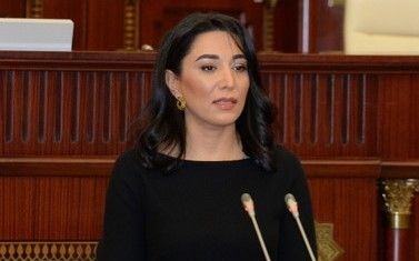 Elmira Süleymanova yeni Ombudsmanı kollektivə təqdim etdi