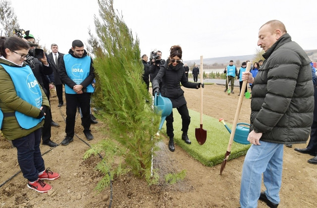 Президент Ильхам Алиев и первая леди Мехрибан Алиева приняли участие в акции по посадке деревьев в Шамахинском районе