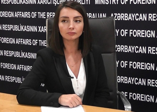 Лейла Абдуллаева: Глава МИД Армении очень боится внутриполитической негативной реакции