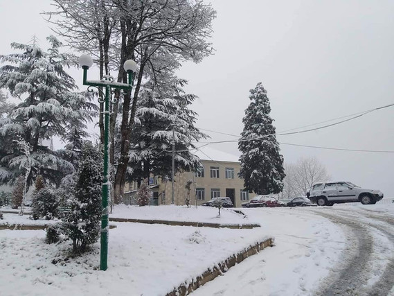 Сильный снегопад вызвал ряд проблем в Грузии