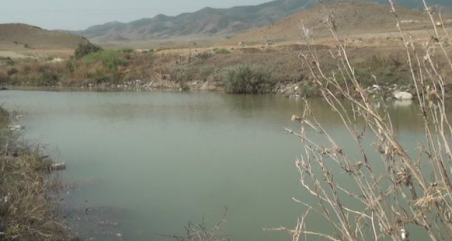 В Гяндже женщина утонула в озере