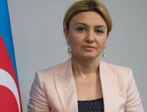 Азербайджан готов поддержать действия ОПЕК+ - Минэнерго