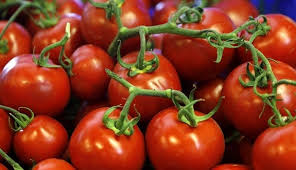 Азербайджанские помидоры подорожали до 19 манатов за килограмм ИЗ-ЗА КОРОНАВИРУСА
