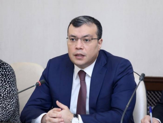 Сахиль Бабаев о задержке во внедрении подсистемы усыновления