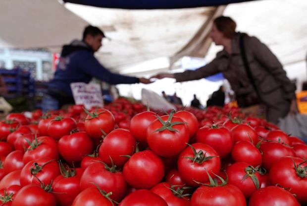 Азербайджан увеличил экспорт томатов