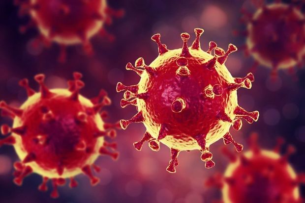 Исцелившиеся от коронавируса могут оставаться заразными